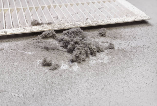 Best Affordable HVAC Duct Cleaning  in Lake In The Hls, IL