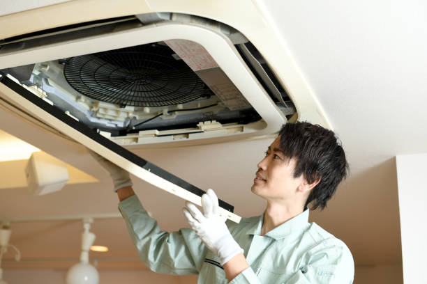 Best HVAC Duct Inspection Services  in Lake In The Hls, IL