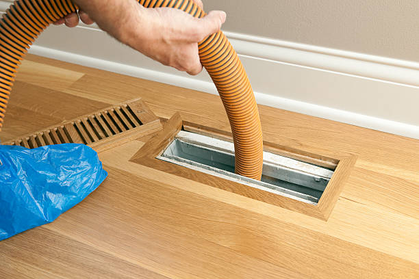 Best Affordable Air Duct Cleaning  in Lake In The Hls, IL