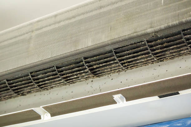 Best Emergency Air Duct Cleaning  in Lake In The Hls, IL
